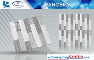 Pancera PP 6627